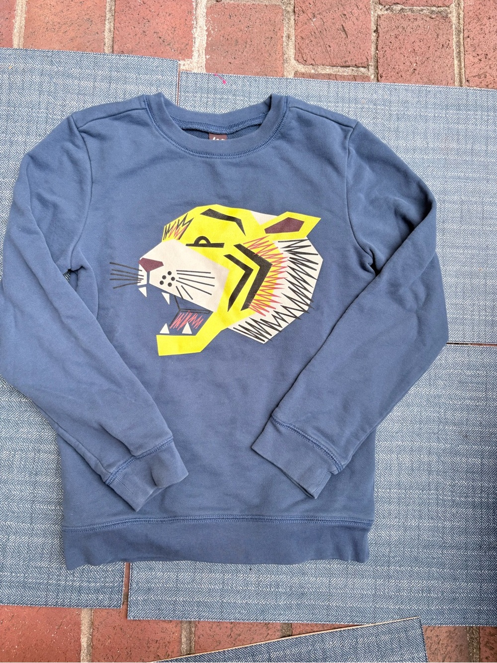 Soft Boys Navy Sweatshirt with Graphic Tiger from Tea Collection